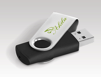 Flash Drives